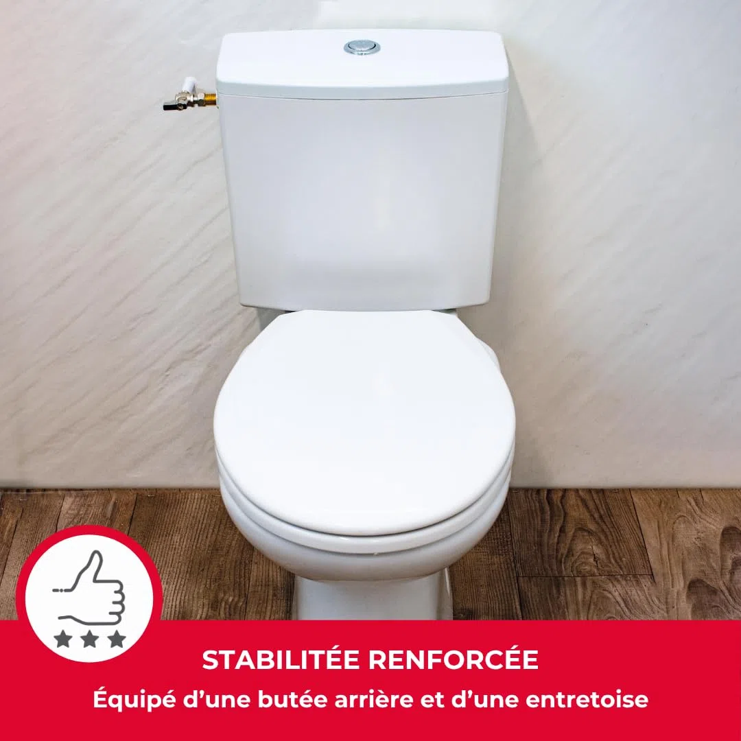 Wirquin 50717359 - Cassetta WC a risparmio idrico, posizione bassa | Plastica, Bianco, Kit completo, Caccia d'acqua doppio caccia
