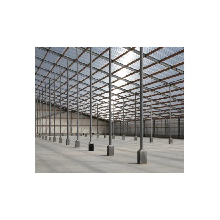 Lastra corrugata 177/51 policarbonato alveolare trasparente spessore 6 mm 200x92 cm