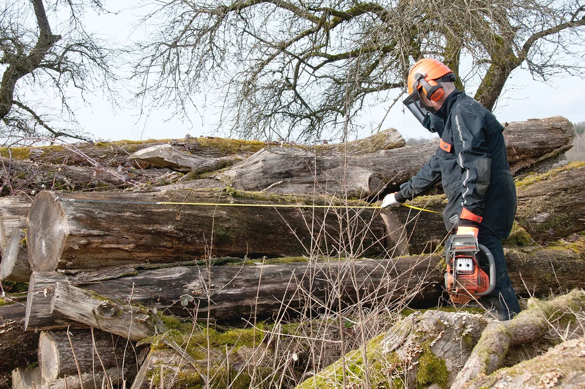 Nastro Misurazione Silvicoltura Oregon 15 M Foresta