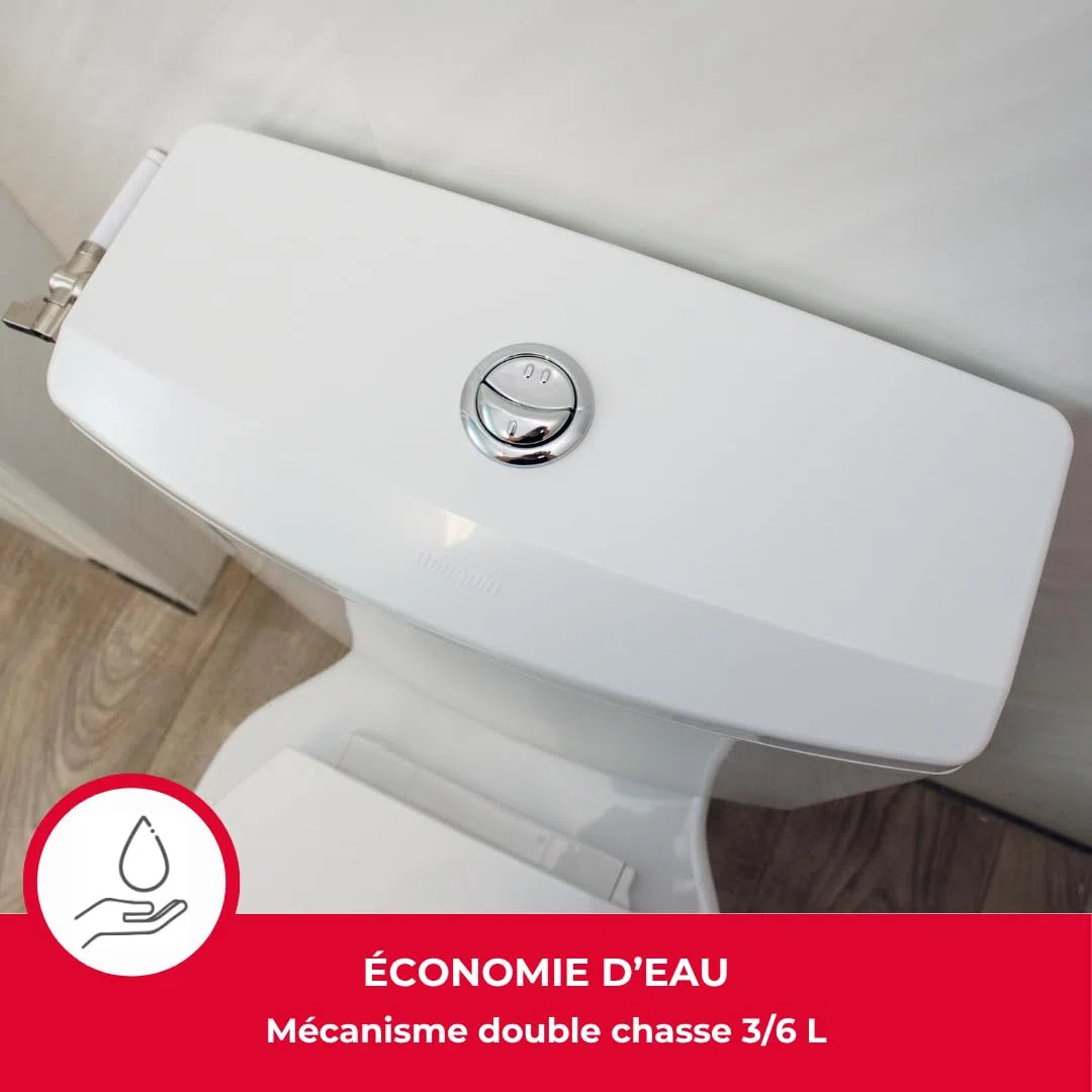 Wirquin 50717359 - Cassetta WC a risparmio idrico, posizione bassa | Plastica, Bianco, Kit completo, Caccia d'acqua doppio caccia