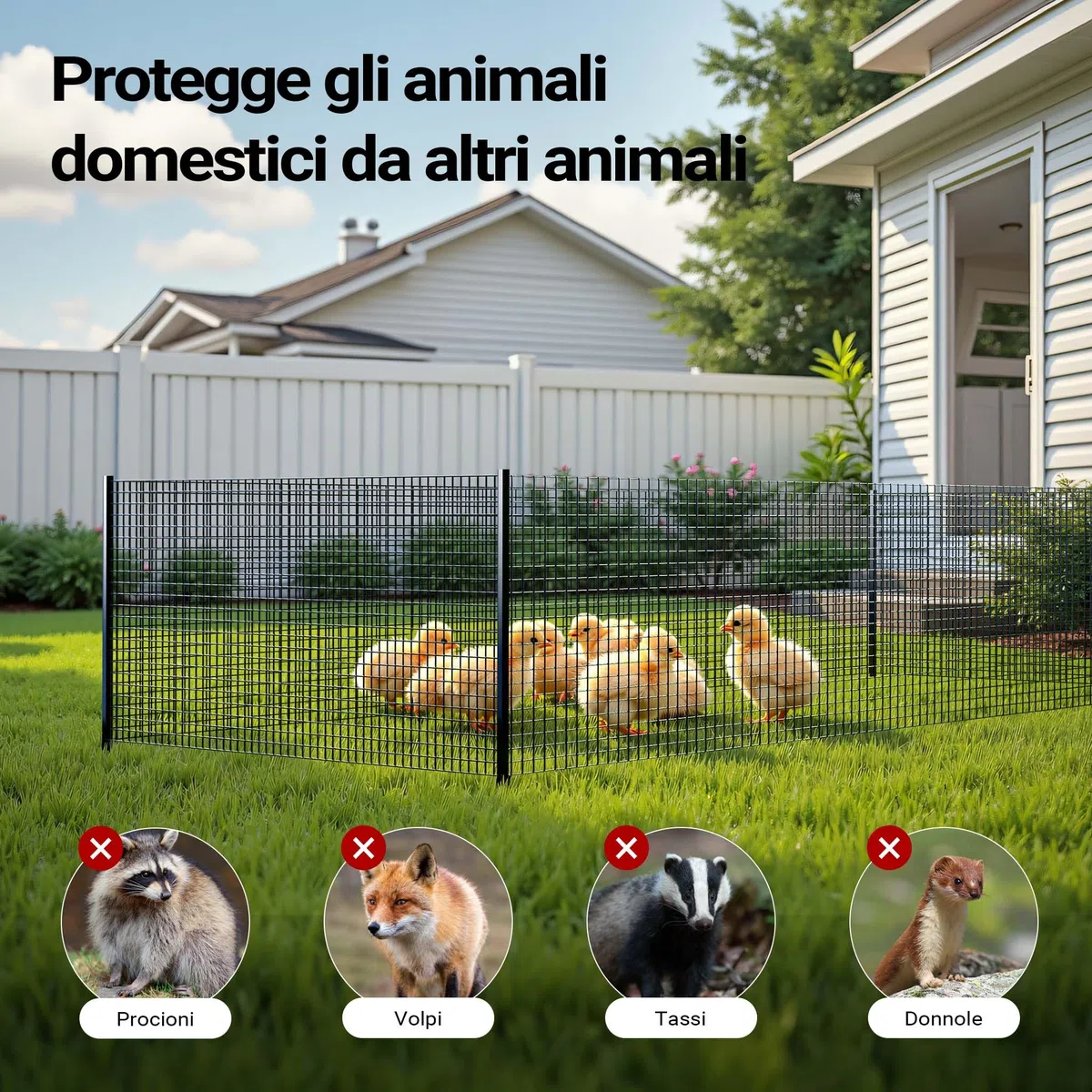 Wiltec Rete da voliera nera Maglie quadrate 12x12mm Rotolo da 25m Altezza 100cm Acciaio zincato